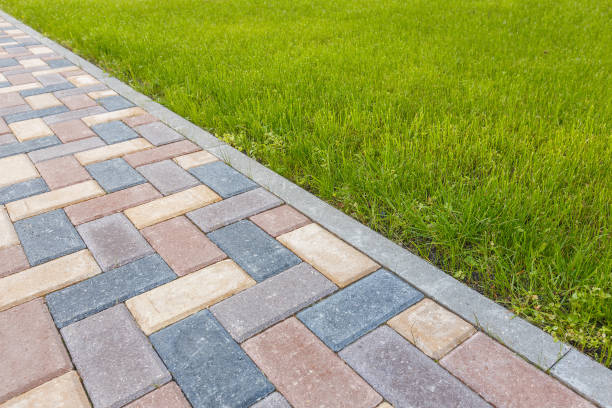 Best Custom Driveway Pavers  in Laingsburg, MI